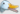 Become a Live Ducks Fan!